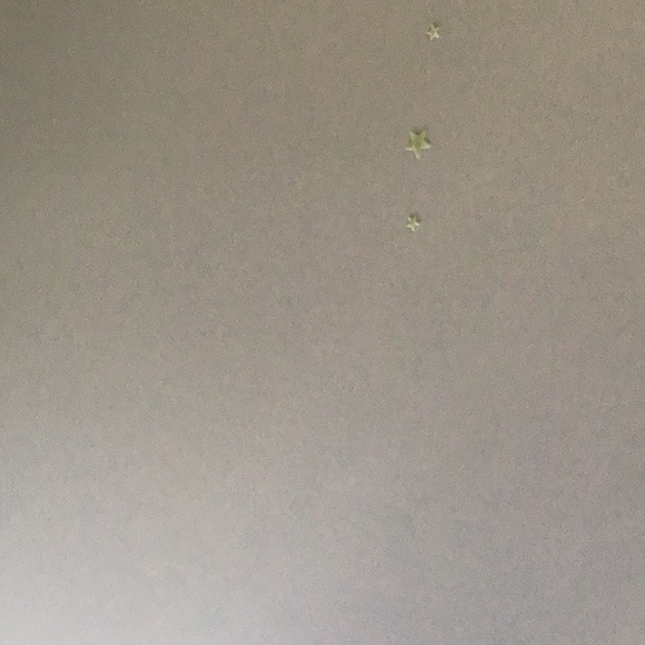 Meet your Posher, T - Picture 1 of 1